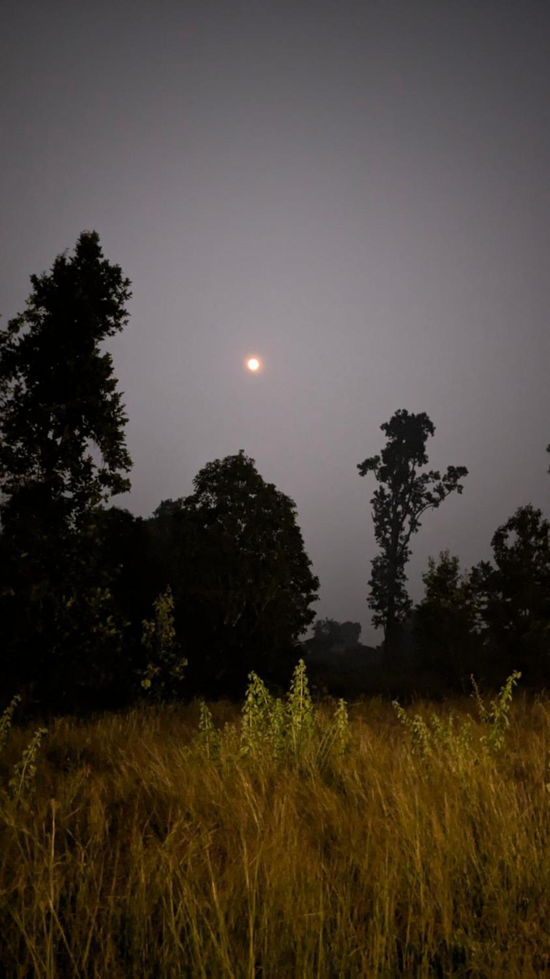 Athulyam Kanha, Kanha National Park, Mukki Gate Khapa  Екстер'єр фото